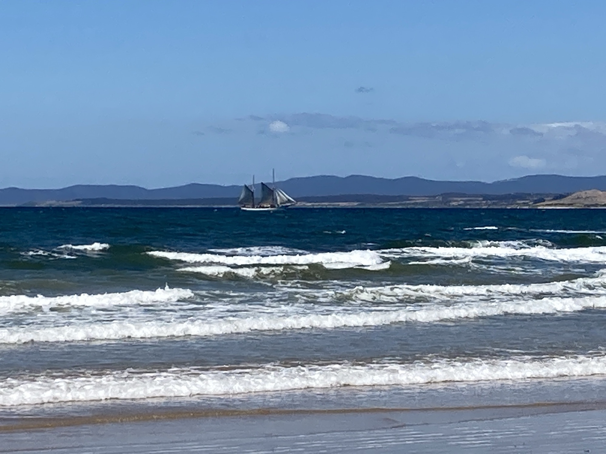 Tall ship sailing past Devonport Bluff, Tasmania, photographed from the beach.