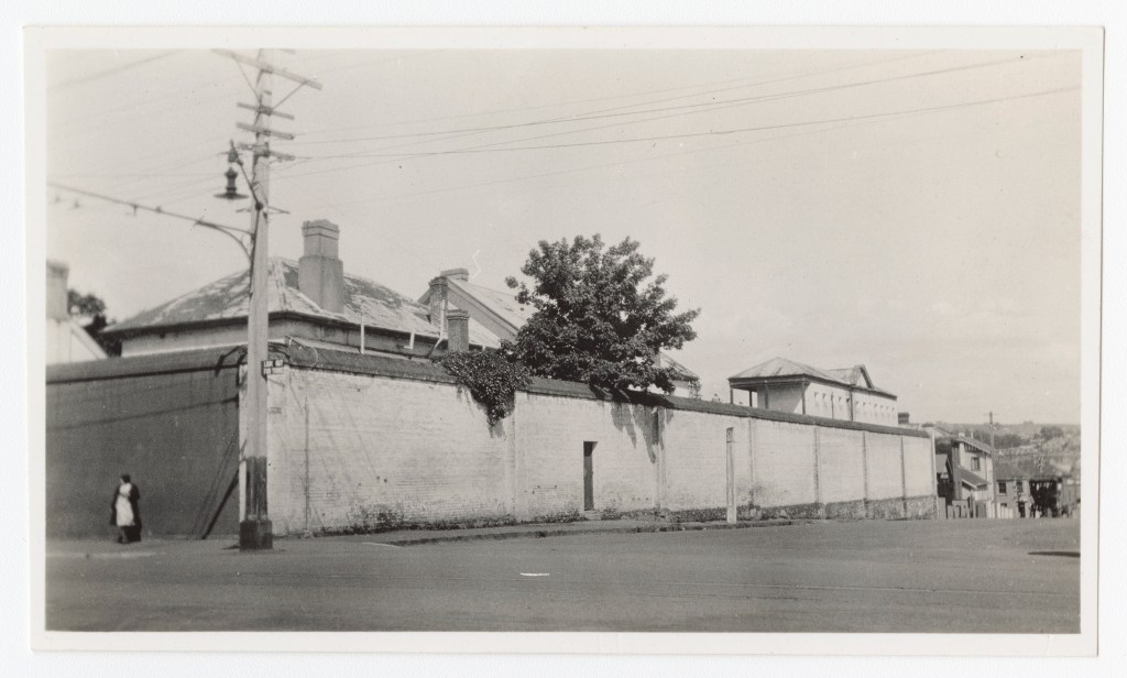 Respectability on Trial: Little Southern Curiosities Volume&nbsp;II